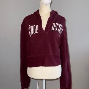 Aeropostale Burgundy Cropped Hoodie Top